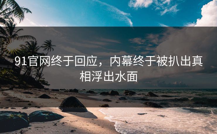 91官网终于回应，内幕终于被扒出真相浮出水面