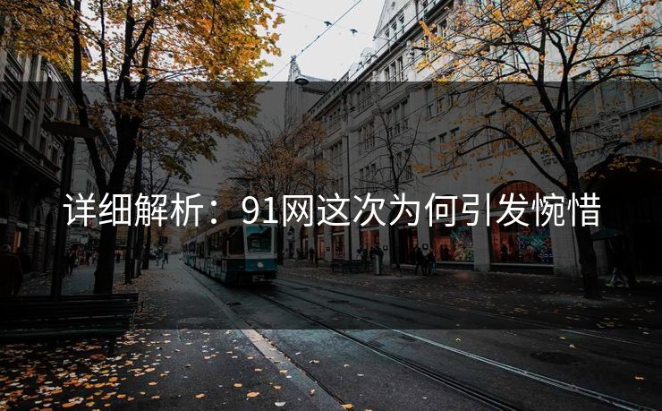 详细解析：91网这次为何引发惋惜