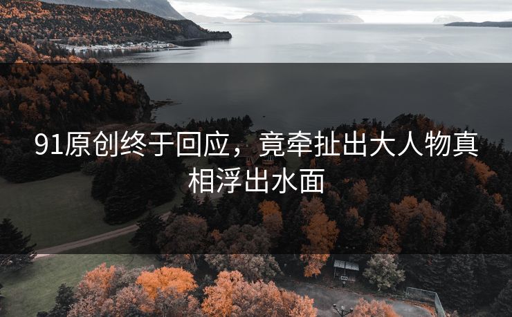 91原创终于回应，竟牵扯出大人物真相浮出水面