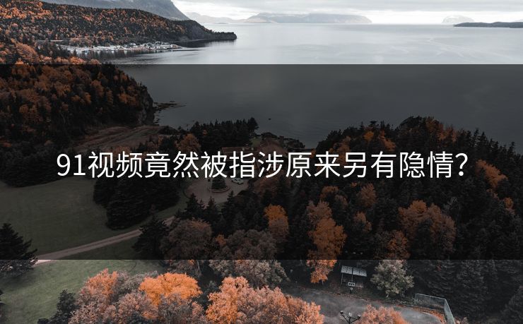 91视频竟然被指涉原来另有隐情？