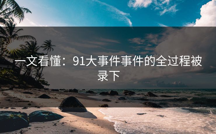 一文看懂：91大事件事件的全过程被录下