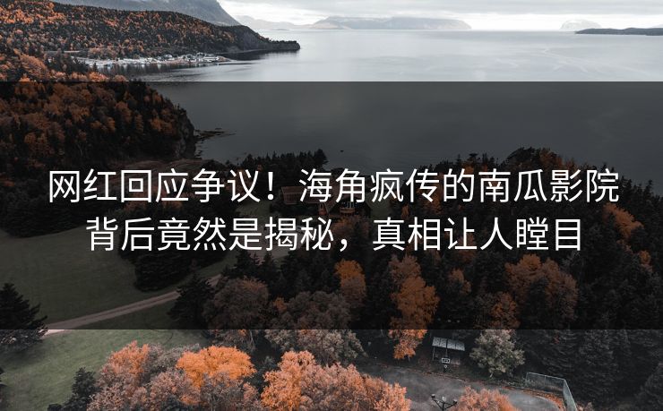 网红回应争议！海角疯传的南瓜影院背后竟然是揭秘，真相让人瞠目